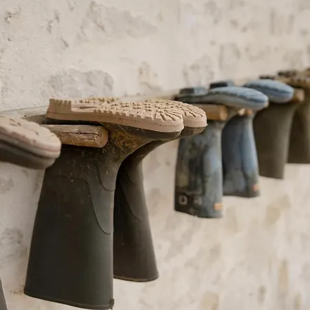 Proche Puy Dufou - Les Buardieres *