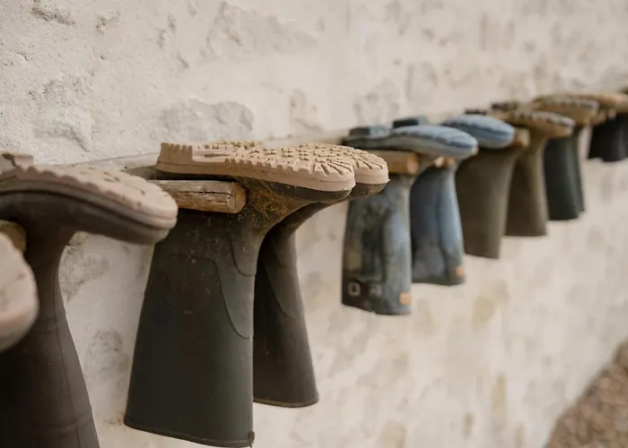 Proche Puy Dufou - Les Buardieres *